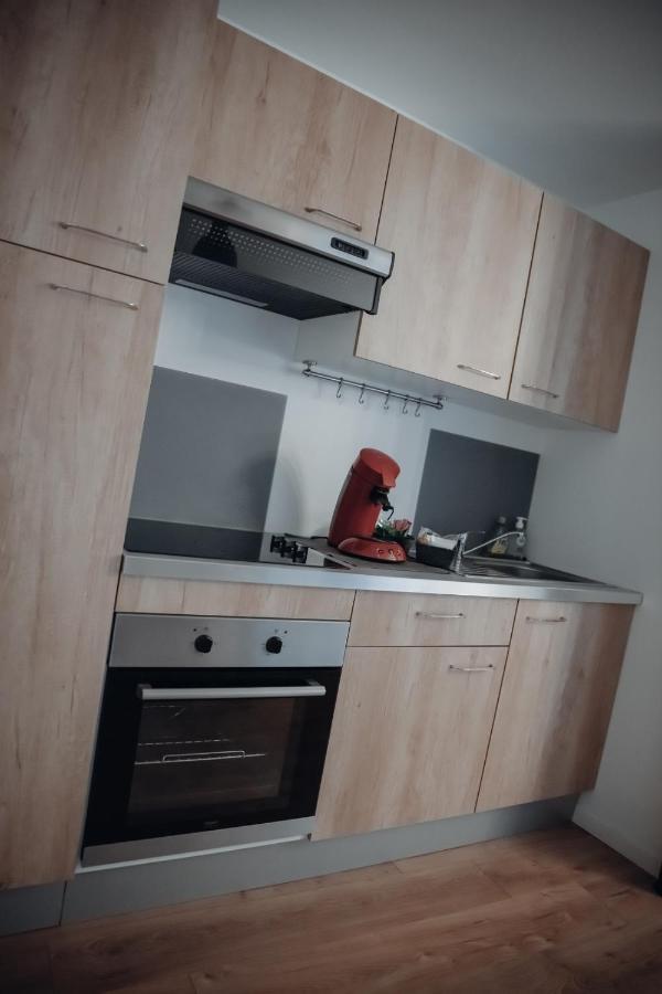 Cosy Et Moderne En Centre Ville, Fibre Haut Debit Ernee Ngoại thất bức ảnh